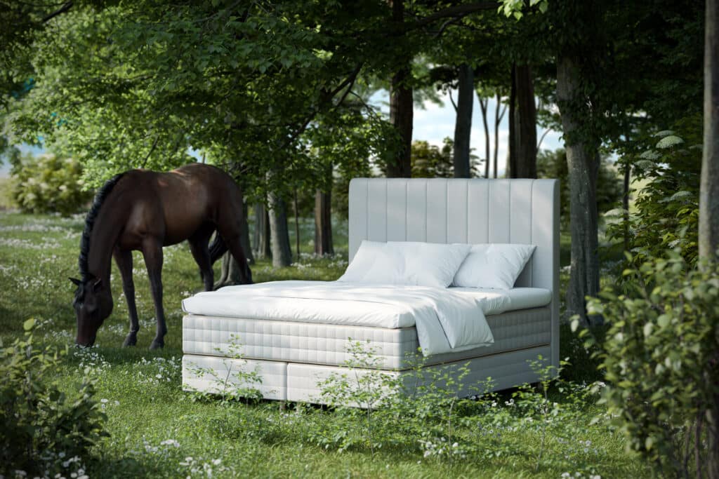 ECO PASSION with HORSE BRIGHTER