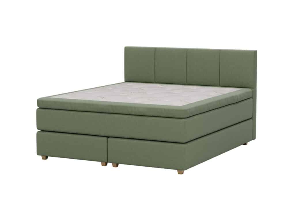 ECO AGAVE 2025 SHADOW Turtle 88